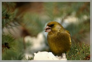 Compressed_0080.jpg Compressed_0080.jpg