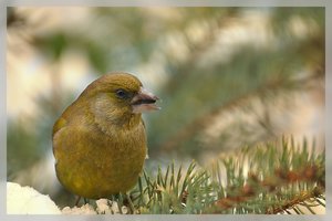 Compressed_0081.jpg Compressed_0081.jpg