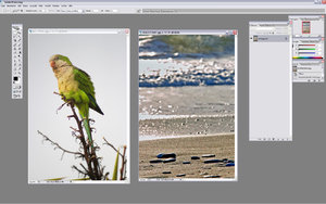 Sample 1.jpg Sample 1.jpg