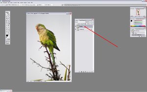 Sample 3.jpg Sample 3.jpg