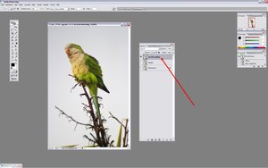 Sample 4.jpg Sample 4.jpg