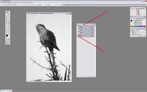 Sample 5.jpg Sample 5.jpg