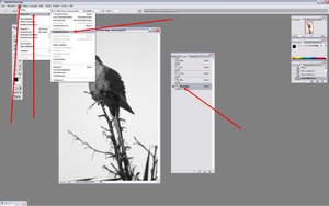 Sample 6.jpg Sample 6.jpg