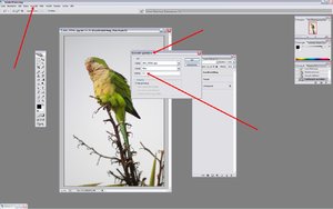 Sample 11.jpg Sample 11.jpg