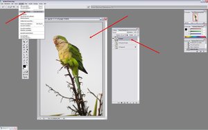 Sample 12.jpg Sample 12.jpg