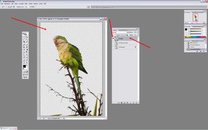 Sample 13.jpg Sample 13.jpg