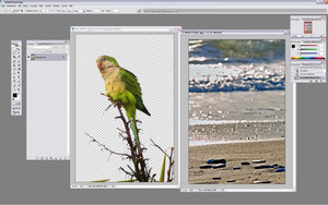 Sample 14.jpg Sample 14.jpg