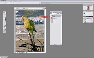 Sample 16.jpg Sample 16.jpg