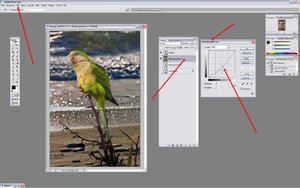 Sample 17.jpg Sample 17.jpg