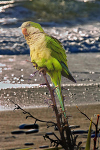 Sample 18.jpg Sample 18.jpg