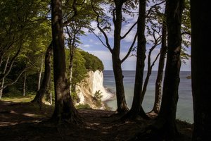 comp__DSC3949+.jpg comp__DSC3949+.jpg