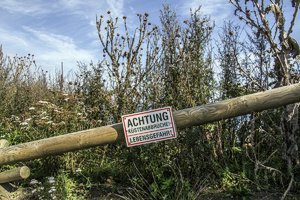 comp__DSC1802+.jpg comp__DSC1802+.jpg