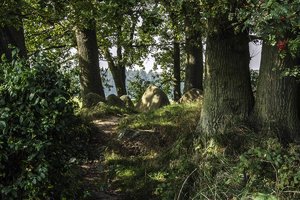 comp__DSC2851++.jpg comp__DSC2851++.jpg