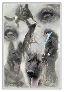 comp_Franzi & Toni.jpg