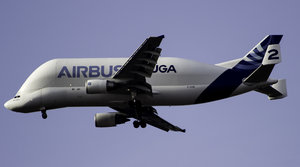 Beluga2 (4 von 6).jpg Beluga2 (4 von 6).jpg