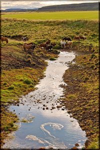 Sample 72.jpg Sample 72.jpg