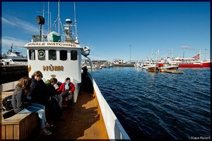 Sample 35.jpg Sample 35.jpg