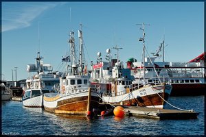 Sample 38.jpg Sample 38.jpg