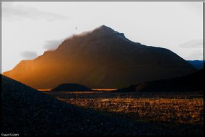 Sample 56.jpg Sample 56.jpg