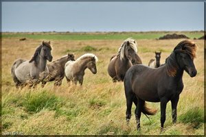 Sample 65.jpg Sample 65.jpg