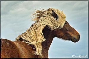 Sample 67.jpg Sample 67.jpg