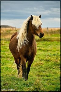 Sample 86.jpg Sample 86.jpg