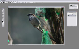 Sample 1.jpg Sample 1.jpg