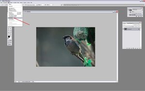 Sample 3.jpg Sample 3.jpg