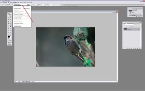 Sample 4.jpg Sample 4.jpg