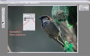 Sample 5.jpg Sample 5.jpg