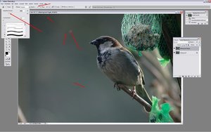 Sample 6.jpg Sample 6.jpg