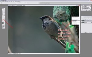 Sample 8.jpg Sample 8.jpg