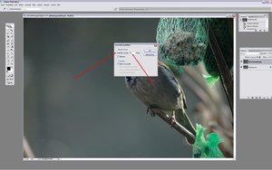 Sample 9.jpg Sample 9.jpg