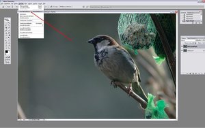 Sample 11.jpg Sample 11.jpg