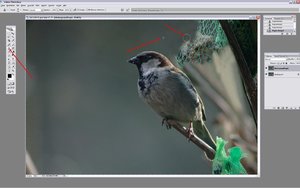 Sample 12.jpg Sample 12.jpg