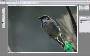 Sample 13.jpg Sample 13.jpg