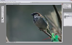 Sample 14.jpg Sample 14.jpg