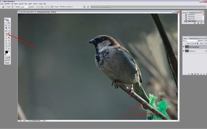 Sample 15.jpg Sample 15.jpg