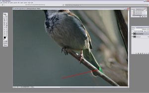 Sample 16.jpg Sample 16.jpg