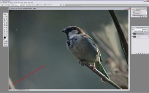 Sample 17.jpg Sample 17.jpg