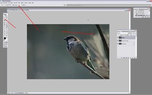 Sample 18.jpg Sample 18.jpg