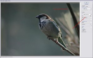 Sample 20.JPG Sample 20.JPG