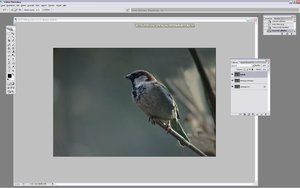 Sample 21.JPG Sample 21.JPG