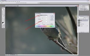 Sample 24.JPG Sample 24.JPG