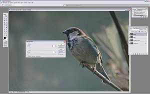 Sample 25.JPG Sample 25.JPG