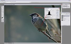 Sample 26.JPG Sample 26.JPG