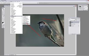 Sample 19.jpg Sample 19.jpg