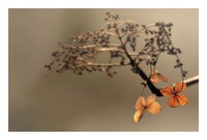 Compressed_0095 bearbeitet.jpg