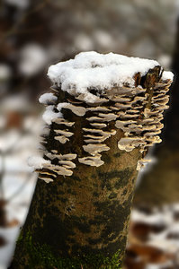 Geocach (2)klein.jpg