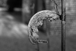 SDIM3200 Kopie.JPG SDIM3200 Kopie.JPG